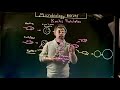 Koch's Postulates and Microbial Identification