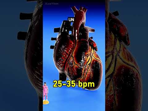 Corazones en Comparación #cortos