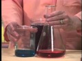 Exploring Physical and Chemical Changes in Matter