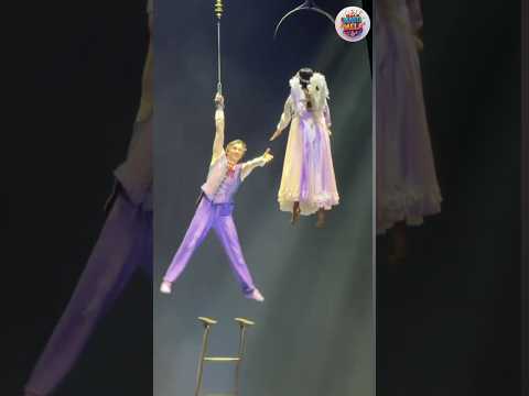 The most amazing beautiful Circus act! #shorts #shortsfeed #viral #trending #trendingshorts #circus