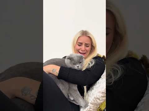Manchmal kann es auch zu spät sein!!! #viral  #fürdich  #foryoupage  #fy  #fyp  #funnyvideo  #couple