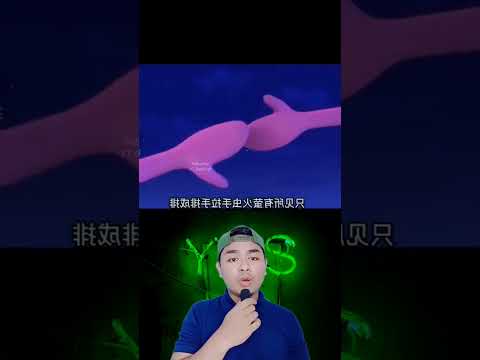 BOCIL SUPER SANGAT KUAT |Susilo ok #shorts
