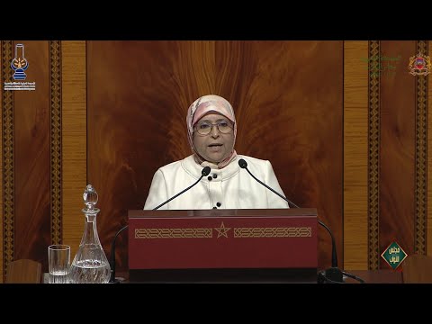 الفتحاوي ومناقشة التقرير السنوي لأنشطة الهيئة الوطنية لضبط الكهرباء