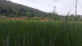 ! พบกันเหมือนเดิมครับ