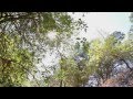 Environmental Education and Conservation Concepts
