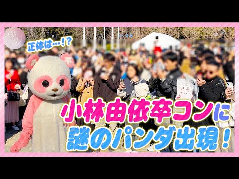 A Panda Appears at the “Yui Kobayashi Graduation Concert” Venue! 【tried to dance】