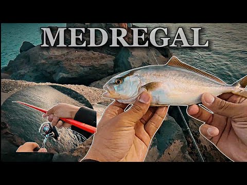 En La AVENTURA De Hoy 🎣 COGIMOS Un Hermoso MEDREGAL 🔥🎣 (Tenerife) | YoSoyHader