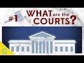 Understanding the US Federal Court System