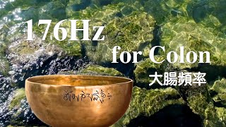 🎶 176Hz 大腸頻率 Colon Frequency  🌙  頌缽療癒音頻 Tibetan Singing Bowl Healing Sound 🎶 EP553
