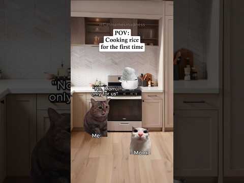 CAT MEMES ๐ธ POV: Cooking Rice For The First Time #fyp #relatable #catmemes