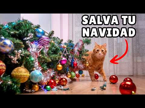 NAVIDADES más seguras con un gato ➡️ 12 ERRORES que debes evitar