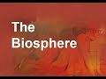 Origins of Life and Biosphere Concepts