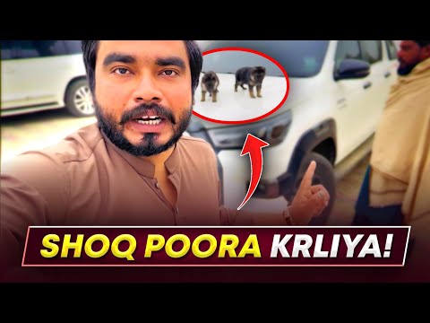 🐕 Aaj Aik Or Shoq Pora Kar Liya 😍 Check Krein! - Pet Vlog | German Shepherd | @khizaromer