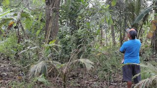 Pertama ajak @IsaYang123 ke sini - melihat hasil kerja jadi TKW di taiwan