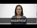 Understanding Sections of a Tutorial