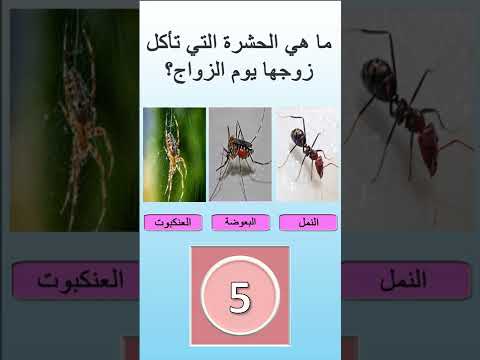 الغاز لمعلومات صادمة #shorts