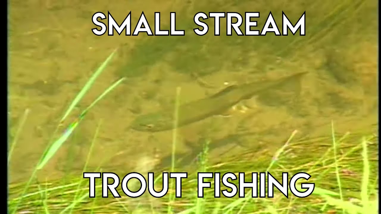 Wyoming Small Stream Trout The New Fly Fisher
