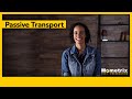 Osmosis and Cellular Transport Concepts