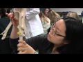 Exploring Human Body Systems Concepts
