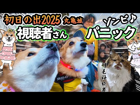 【初日の出2025】乗組員パニックin丸亀城‼!!投稿日2025/4/18(- -lll)