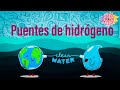 Cuestionario sobre Puentes de Hidrógeno