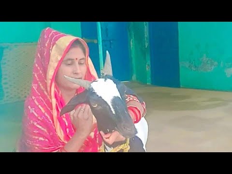 Madhu official 31 is live!
