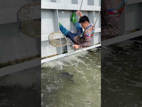 Nice Way of Fishing Wow!            #fishing #amazing #brazil #india #korea
