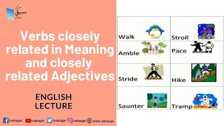 Verbs closely related in Meaning (e.g., toss, throw, hurl) and closely related Adjectives (e.g., thin, slender, skinny, scrawny)