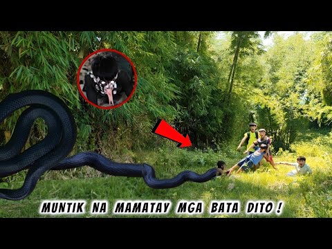 NIYANIG NG TAONG AHAS ANG KAGUBATAN NG SIBOG-SIBOG! GRABE NABULGAR NA KONG SINONG MASTER MIND PART 2