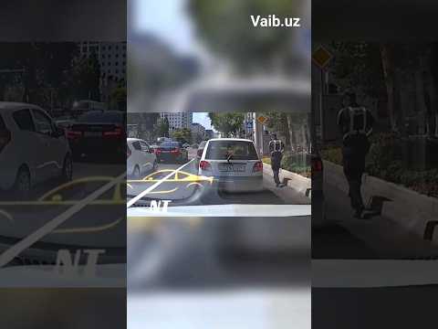 Qoʻqqisdan hujum #funny #automobile #rek #shortvideos
