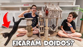 CRIAMOS UM PARQUE DE DIVERSÃO PARA OS GATOS da Família Paulinho e Toquinho