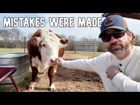 Rancher’s Advice Changed EVERYTHING for Our Pregnant Cow!