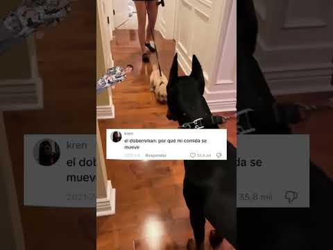 Los comentarios se salieron de control JAJAJA #humor #comedia #shorts