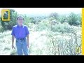 Exploring Albuquerque and Beyond