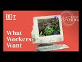 Understanding the American Workforce