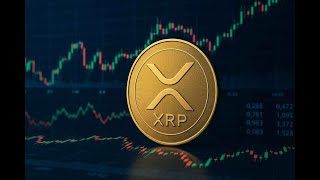 XRP Update: The Real Reason Why the XRP Price is Stagnant