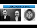 DNA Structure and Discovery