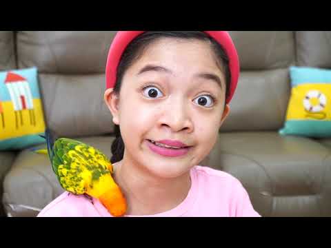 KAYCEE'S PET PARROT, SUNNY THE CONURE | KAYCEE in WONDERLAND FAMILY