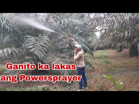 1 Araw na Trabaho sa pagSpray, 30 Mins lang sa Powersprayer