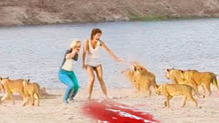 6 Most DISTURBING Animal Attacks at The Zoo...
