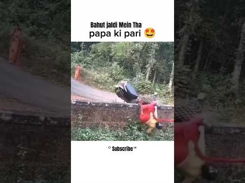 Bahut jaldi Mein Tha😁papa ki pari 😂duke390#yamaha #kawasaki#crash#funny  #shorts#bikerider#trending
