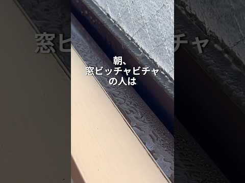 ニトリです💁🏻♀️ #汚部屋 #片付け #掃除 #断捨離 #結露