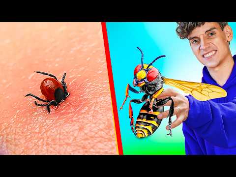 🩸Atrapé los 10 Insectos Mas Peligrosos del Mundo para una Batalla🩸