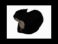 Understanding the Video Tutorial