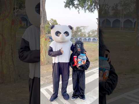 कालू भाई और Teddy 🧸 की कहानी 😱 #shortsvideo #inspiration #emotional #funny