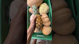 Comprando frutas pra Barbaraah