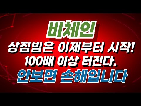 [ 비체인 코인 전망 ] 상짐빔은 이제부터 시작 100배 이상 터집니다!