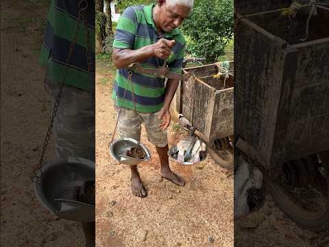 Thilapia Fish Cut In Village Road #shorts