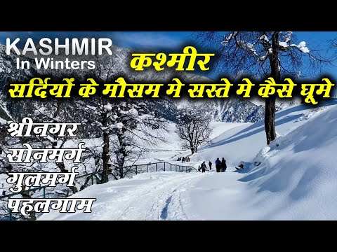 Kashmir Tour | Srinagar-Sonmarg-Gulmarg-Pahalgam सर्दियों में एक साथ कैसे घूमे | कश्मीर In Winters