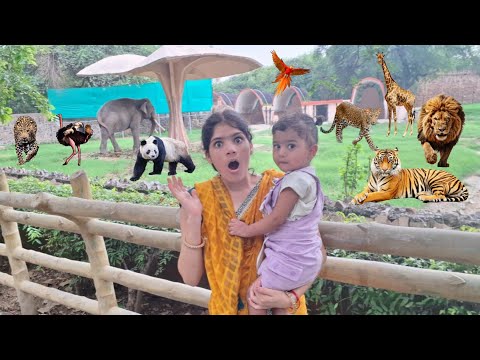 National Zoological Park 😘 दिल्ली का चिड़ियाघर | Zoo Delhi India - Ablaksh Pandey Ft. Shanaya Roy